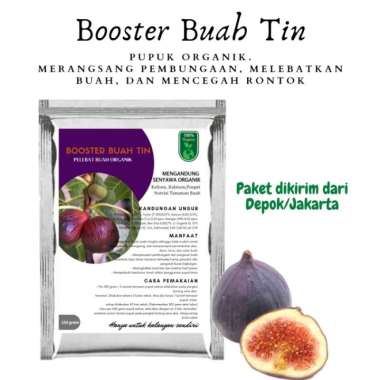 Pupuk Booster Buah Tin. Pembungaan Melebatkan Mencegah Rontok