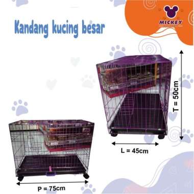 Kandang kucing besar