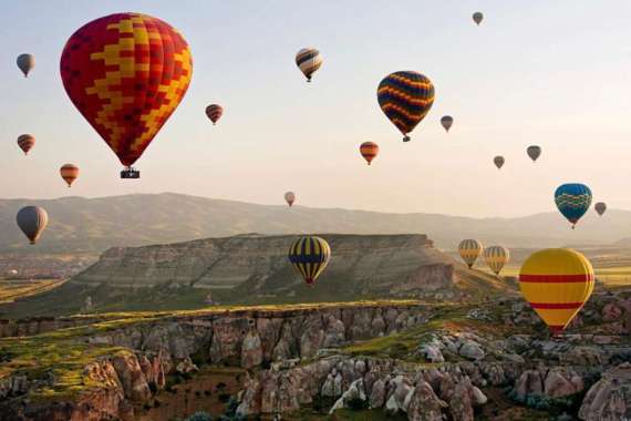 Konya Harga Terbaru November 2020 Blibli