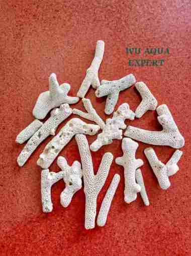 KARANG JAHE 2Kg Penjernih Air Filter Batu Filtrasi Aquarium Ikan