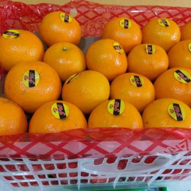 Jeruk Wokam Wogam Mandarin 1 keranjang