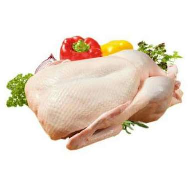 Bebek Beku Harga Terbaru September 2020 Blibli Com