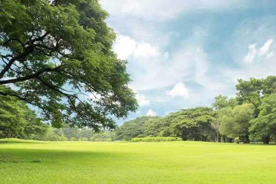Wallpaper Dinding Pemandangan Harga Terbaru Juni 2021 Blibli