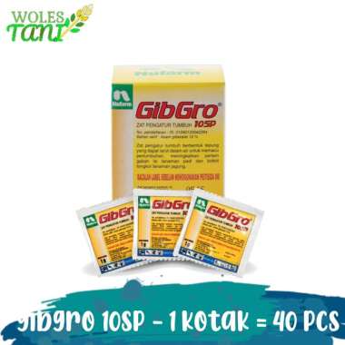 GibGro 1 Gram ZPT 1 Kotak isi 40 Sachet Multicolor