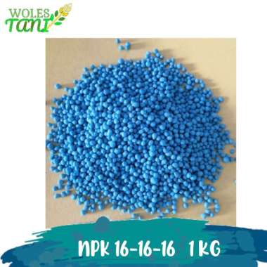 Pupuk NPK 161616 1 Kg Multicolor