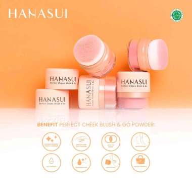 HANASUI PERFECT CHEEK BLUSH & GO 02 peach