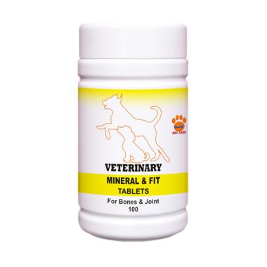 Raid All Veterinary Mineral & Fit Vitamin Anjing