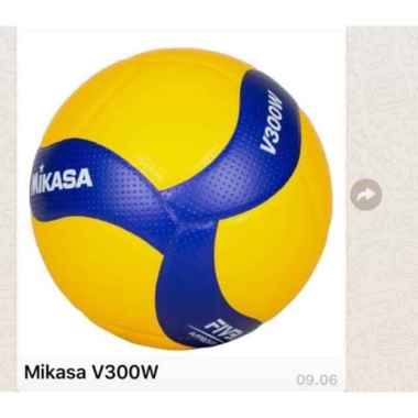 Jual Bola Voli Mikasa Murah Harga Promo Blibli Com