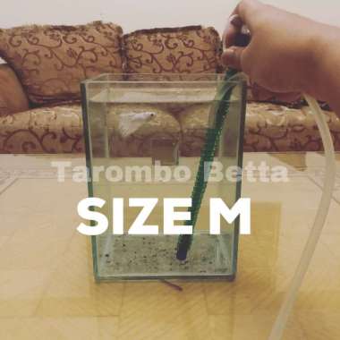 Alat Selang Sipon Sifon Air Aquarium Ikan Cupang & Ikan Lainnya Size M