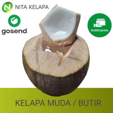 Kelapa Muda Segar Utuh Wrap