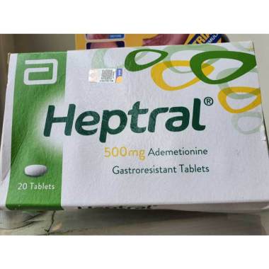READY STOCK HEPTRAL 500MG