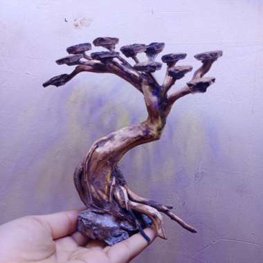 Jual Bonsai Aquascape Agustus 2021 Banyak Pilihan Harga Murah Blibli