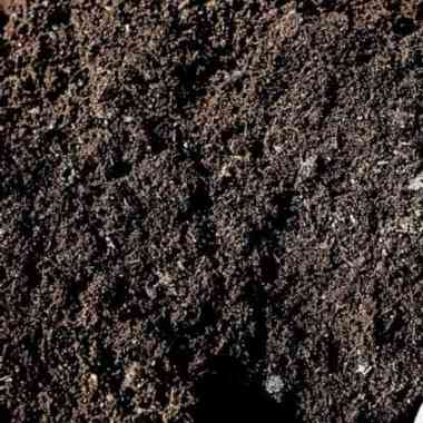 Pupuk Kandang Kompos kambing 1 KG