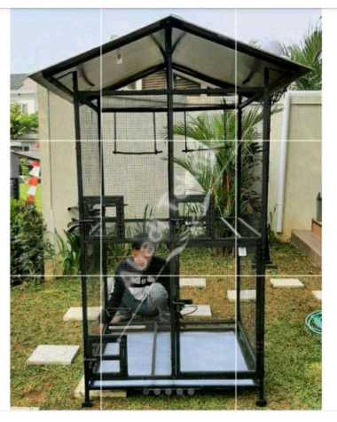 Harga Kandang Burung Besar Lovebird Terbaru November 2021 Biggo Indonesia