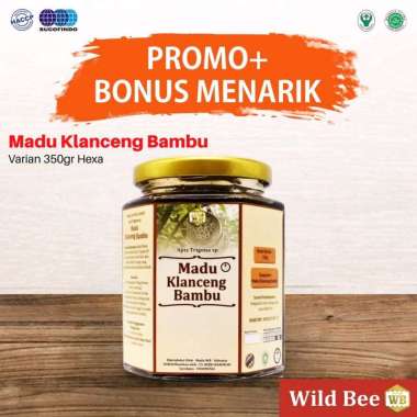 MADU KLANCENG BAMBU ASLI MURNI 100% Lebah Apis Trigona, Kemasan 350gr, WILD BEE