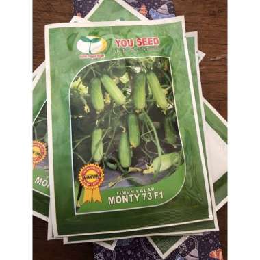 Benih timun lalap MONTY 73 20 gram timun baby dari you seed