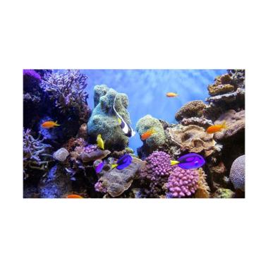LapakTrip - Pesona Bawah Laut di Pu ... D5N Paket Wisata Domestik