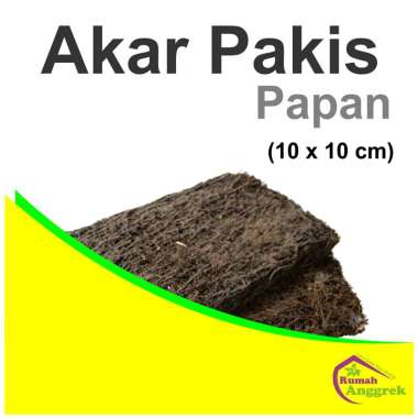 Media Akar Pakis Papan Lempeng 10 x 10 tanam anggrek kecil sedang simbar kotak persegi