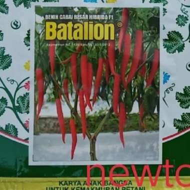 Benih bibit cabe merah besar hibrida BATALION F1 60 butir smallpack