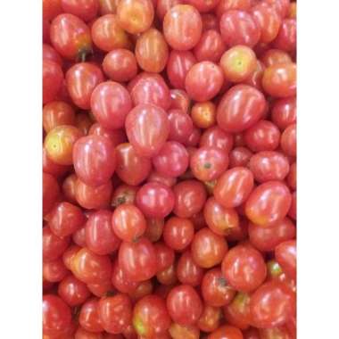 Tomat Cherry 1 kg