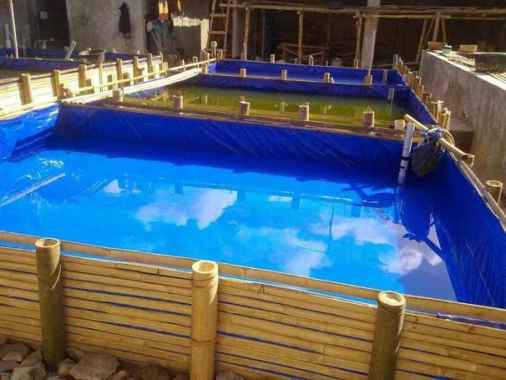 terpal kolam 4x6x1 a12 kualitas paling tebal ma