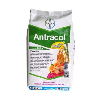 Bayer 70WP Antracol [250 g] 02 Green