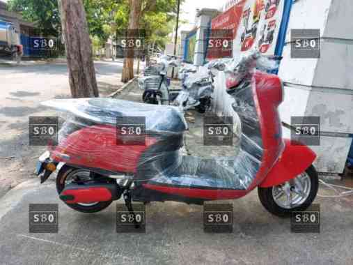 Uwinfly Golden Turtle + New Terbaru