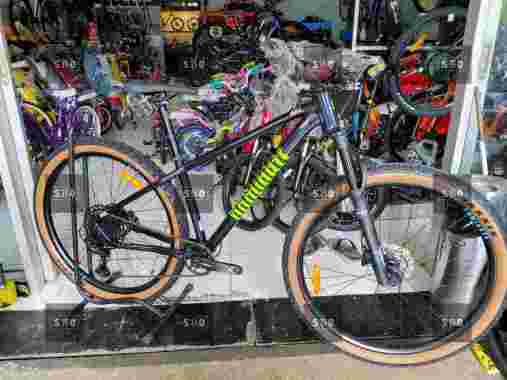 Dominate AXC 2 Comp R