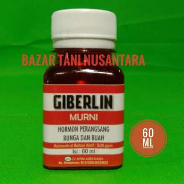 Hormon Pertumbuhan Zpt Giberelin Giberlin Buah Dan Bunga 60 Ml Hormon Giberlin percepat bunga dan bu