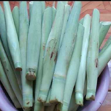 Terubuk Trubuk Telur Tebu Fresh 1 Kg