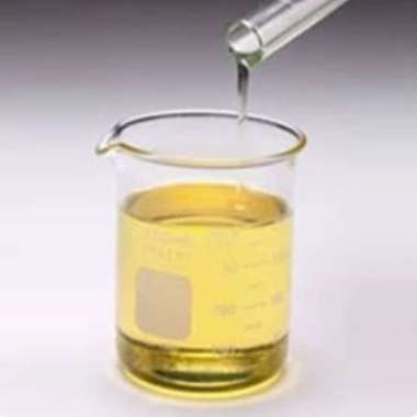 MINYAK EUKALIPTUS, EUCALIPTUS OIL 1L