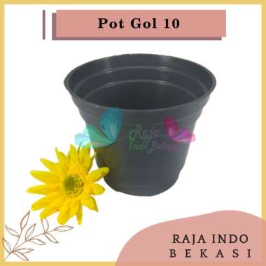 Pot 10cm Hitam Murah - Pot Bulat Mini Kecil Bisa Untuk Vas Bunga Pot 10 cm Hitam Polos Pot Tawon 10 POT 10 HITAM POLOS