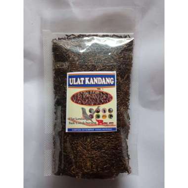 ULAT KANDANG KERING 50 GRAM PAKAN BURUNG HAMSTER SUGAR GLIDER IKAN