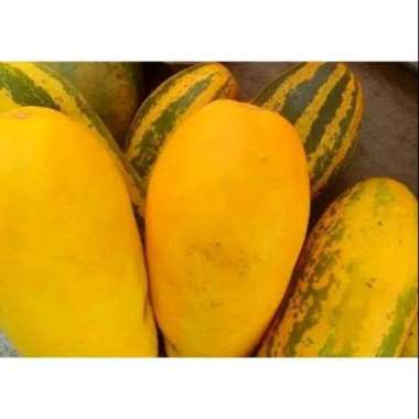 Timun Suri Timun Emas 1 Kg
