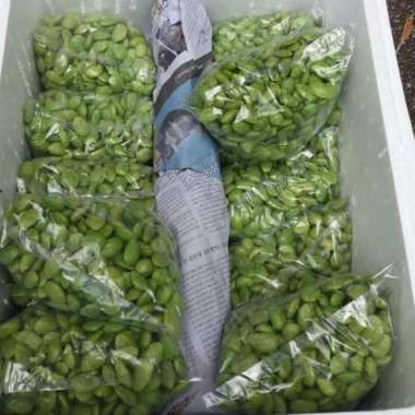 pete petai kupas grade A fresh 100 gram