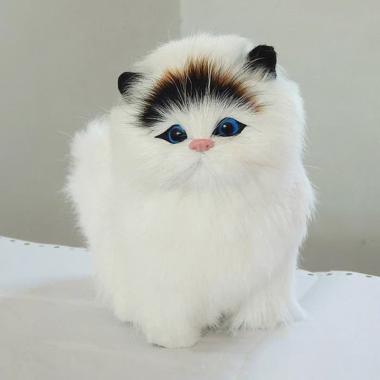 Gambar Kucing Anggora Majalah Cat Dog