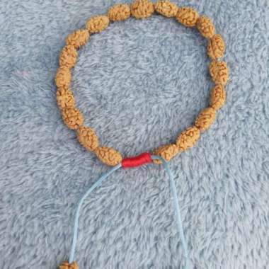 Gelang Kesehatan Jenitri Genitri Rudraksha Mukhi 2