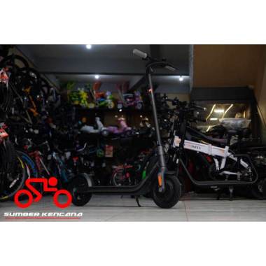 SCOOTER SEGWAY NINEBOT F25