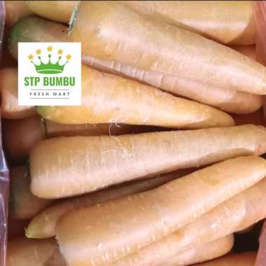 Wortel Import Brastagi Segar 1kg / Impor Berastagi Fresh