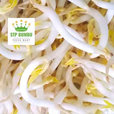 Tauge Toge Segar 1kg / Sayur Touge Fresh