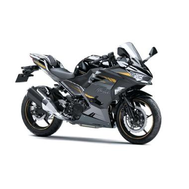 Kawasaki Ninja 250 ABS SE MDP Smart Key Sepeda Motor [OTR Jabodetabek] No Metallic Magnetic Dark Gre