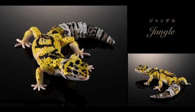 [Bandai] Gashapon Premium Advance Leopard Gecko - Jungle