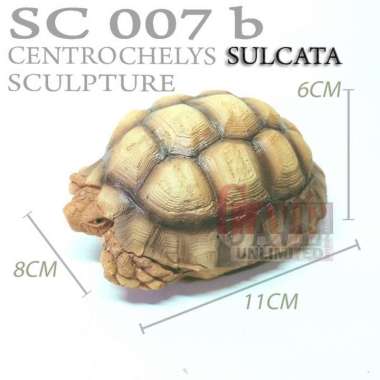 Replika patung pajangan miniatur tortoise aldabra kura kura darat SULCATA