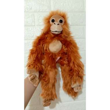 Boneka Monyet tangan panjang Multicolor