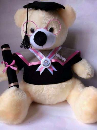 Boneka Wisuda Teddy Bear Jumbo | Hadiah Wisuda Kado Wisuda Boneka