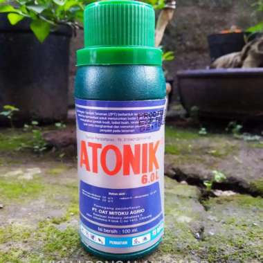 ANTONIK pengatur zat tumbuh (ZPT)