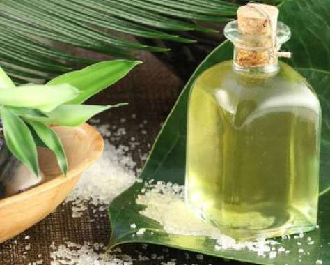 120ML EUCALYPTUS OIL murni 100% / minyak eucaliptus / eukaliptus