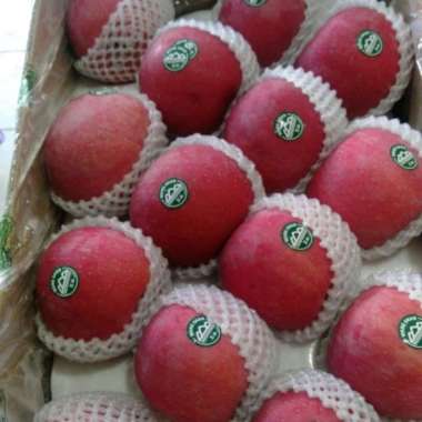 Buah Apel Wang Shan Fresh Apel Wangsan 1kg