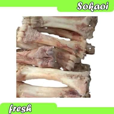 TULANG KAKI SAPI TULANG SAPI