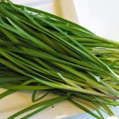 Daun bawang kucai 1 iket